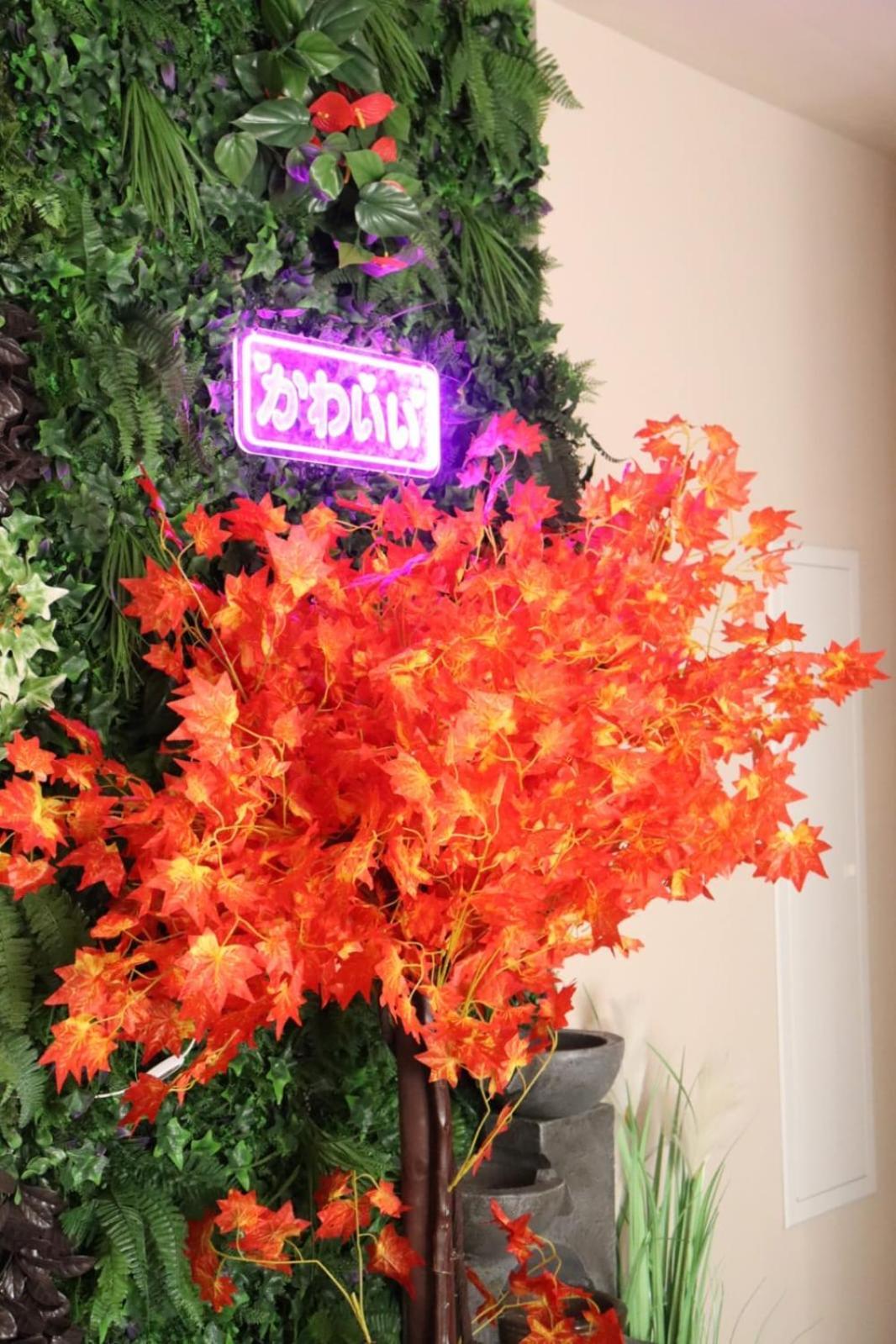 Loveroom Japon Avec Balneotherapie Toulon Bagian luar foto